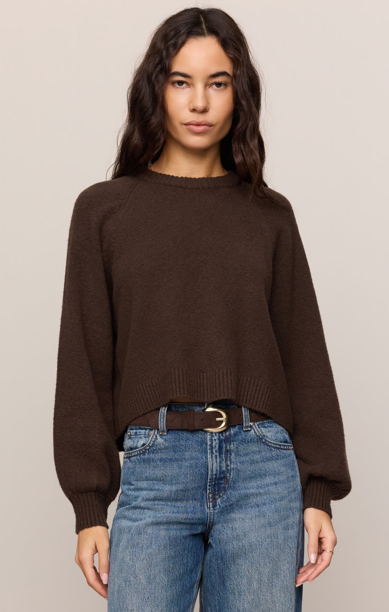 Dark brown balloon sleeve sweater 